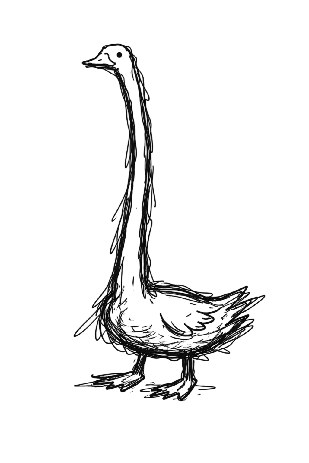 goose_feathers.cc